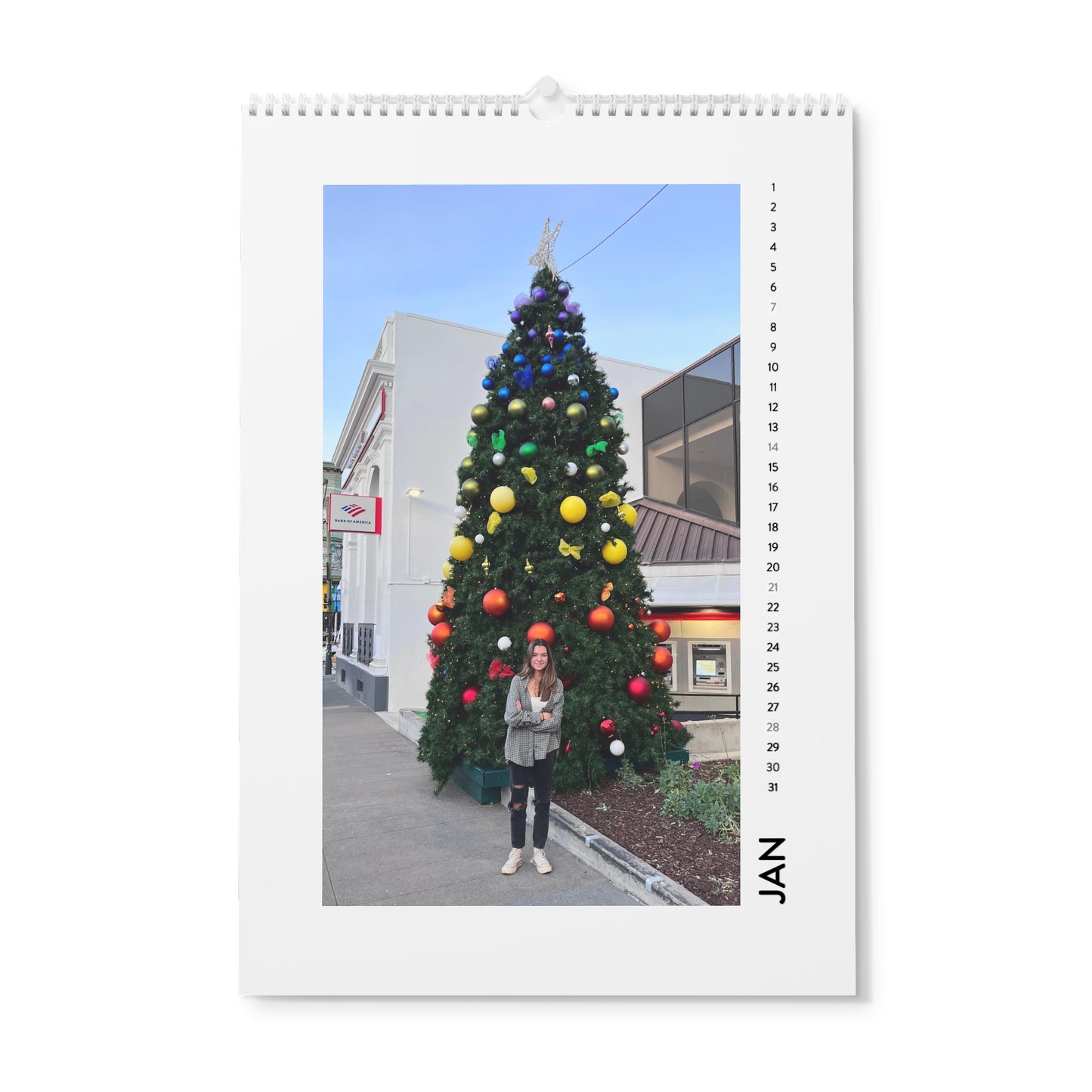 Wall Calendar (2024)