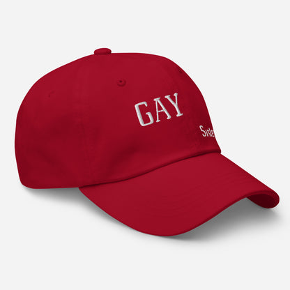 Gay Sister Dad Hat